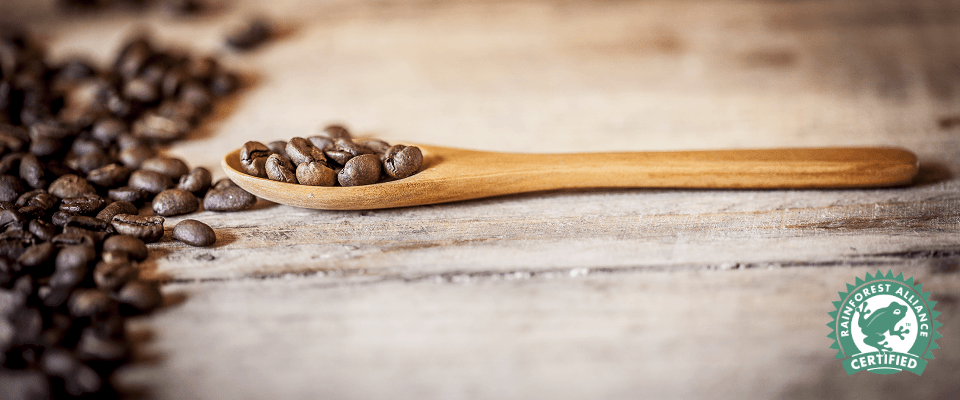 Rainforest Alliance Coffee Beans
