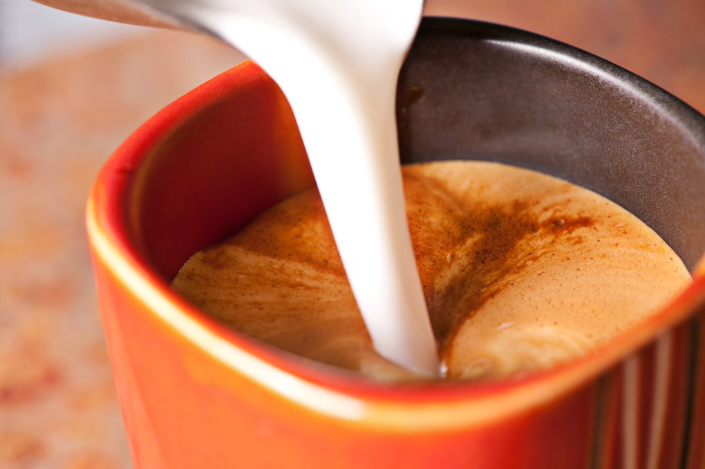 Nestlé Professional - Sušené mléko