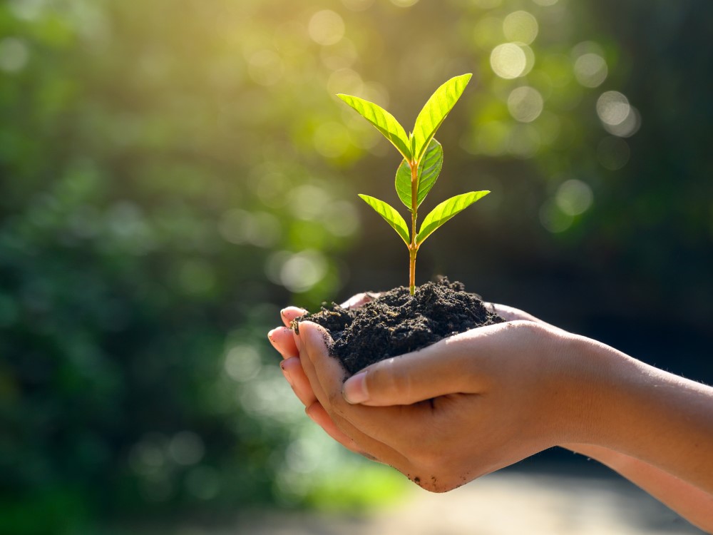 Nestlé Fenntarthatóság