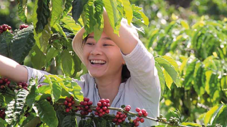 Nescafe Plan Farmer
