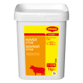 MAGGI Hovězí vývar - 1 kg