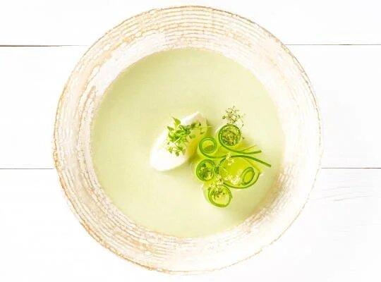 Vichyssoise z mladého pórku a okurek2
