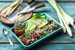 thajsky-salat-larb-se-smazenym-garden-gourmetr-veganskym-mletym