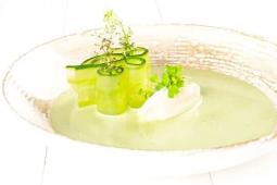 Vichyssoise z mladého pórku a okurek